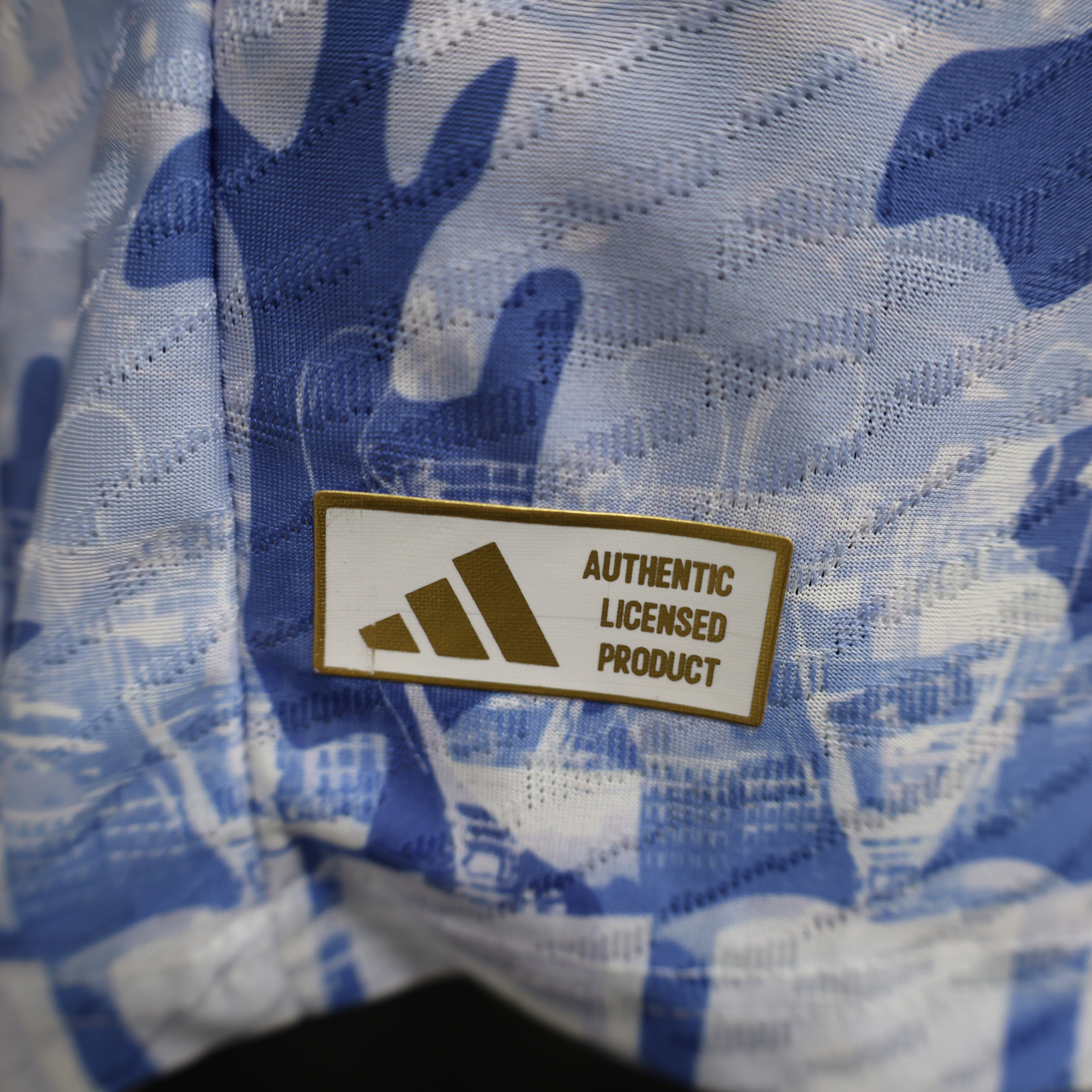 2024/2025 Real Madrid Special Edition Jersey ( Player )