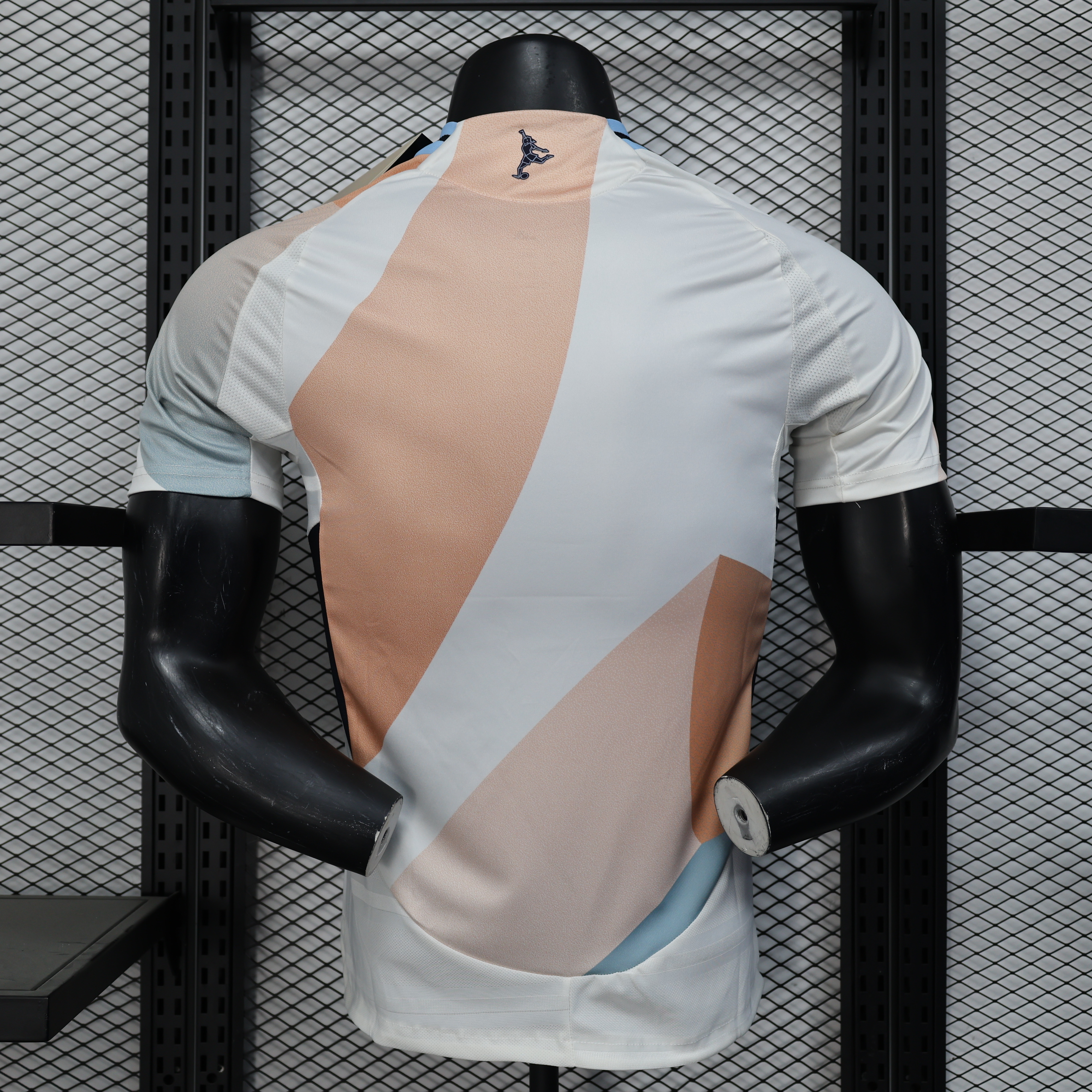 2025-2026 Spain Short-Sleeve Pre-Match Football Jersey ( Player ) 