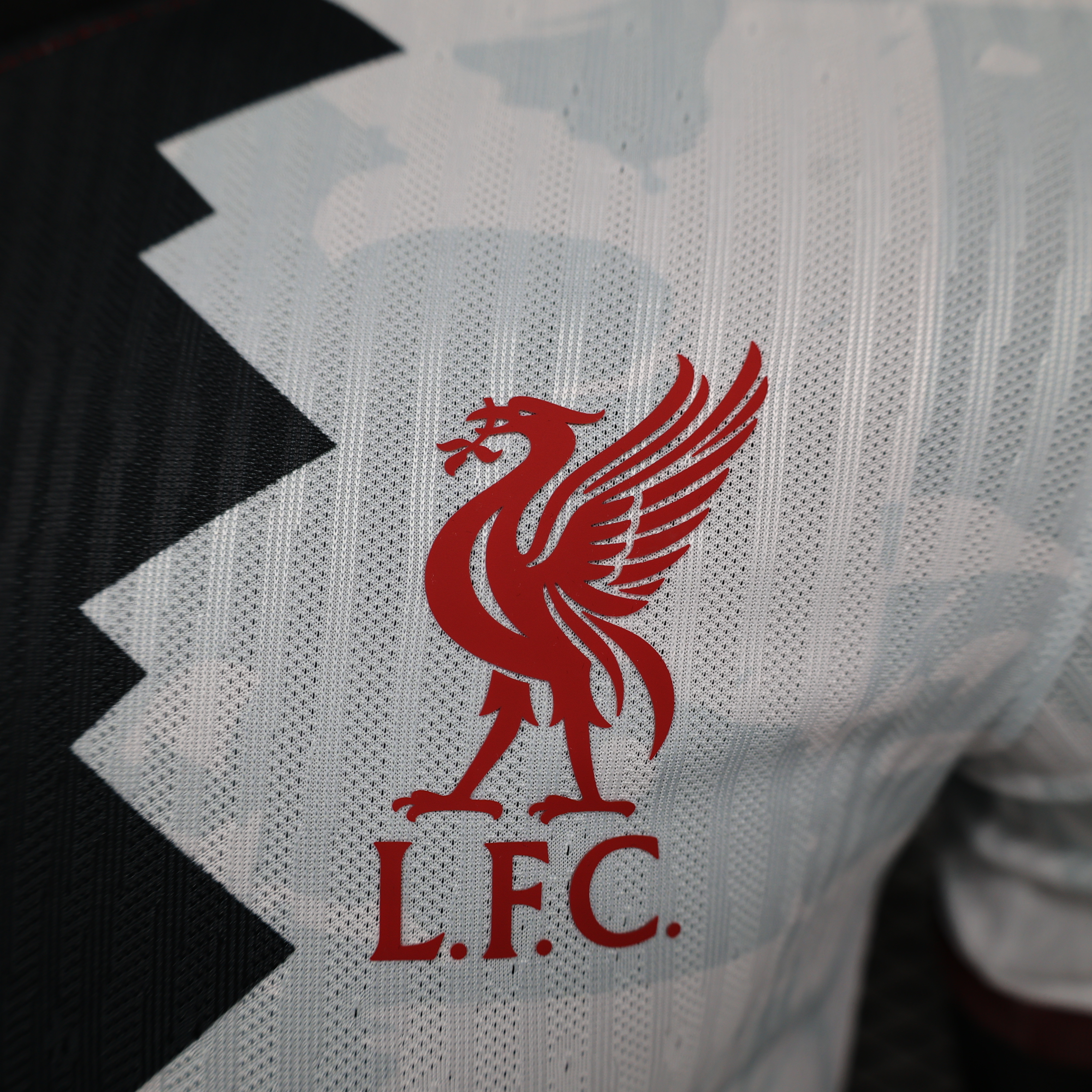 2024-2025 Liverpool Short-Sleeve Football Jersey Special Edition (player)