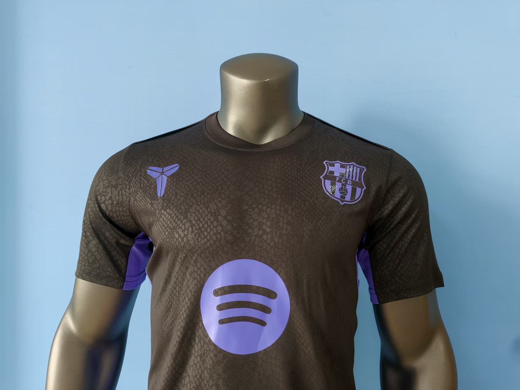 2025/2026 Barcelona Short-Sleeve Training Jersey ( player )