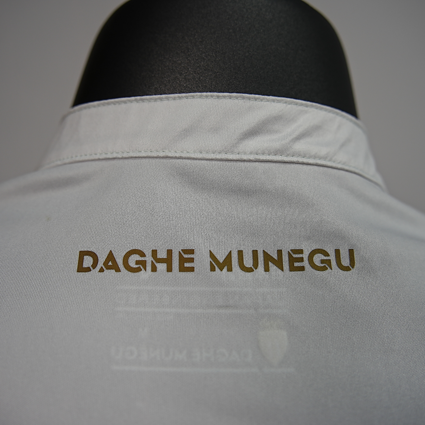 2025/2026 Monaco Home Short-Sleeve Jersey ( Fan )