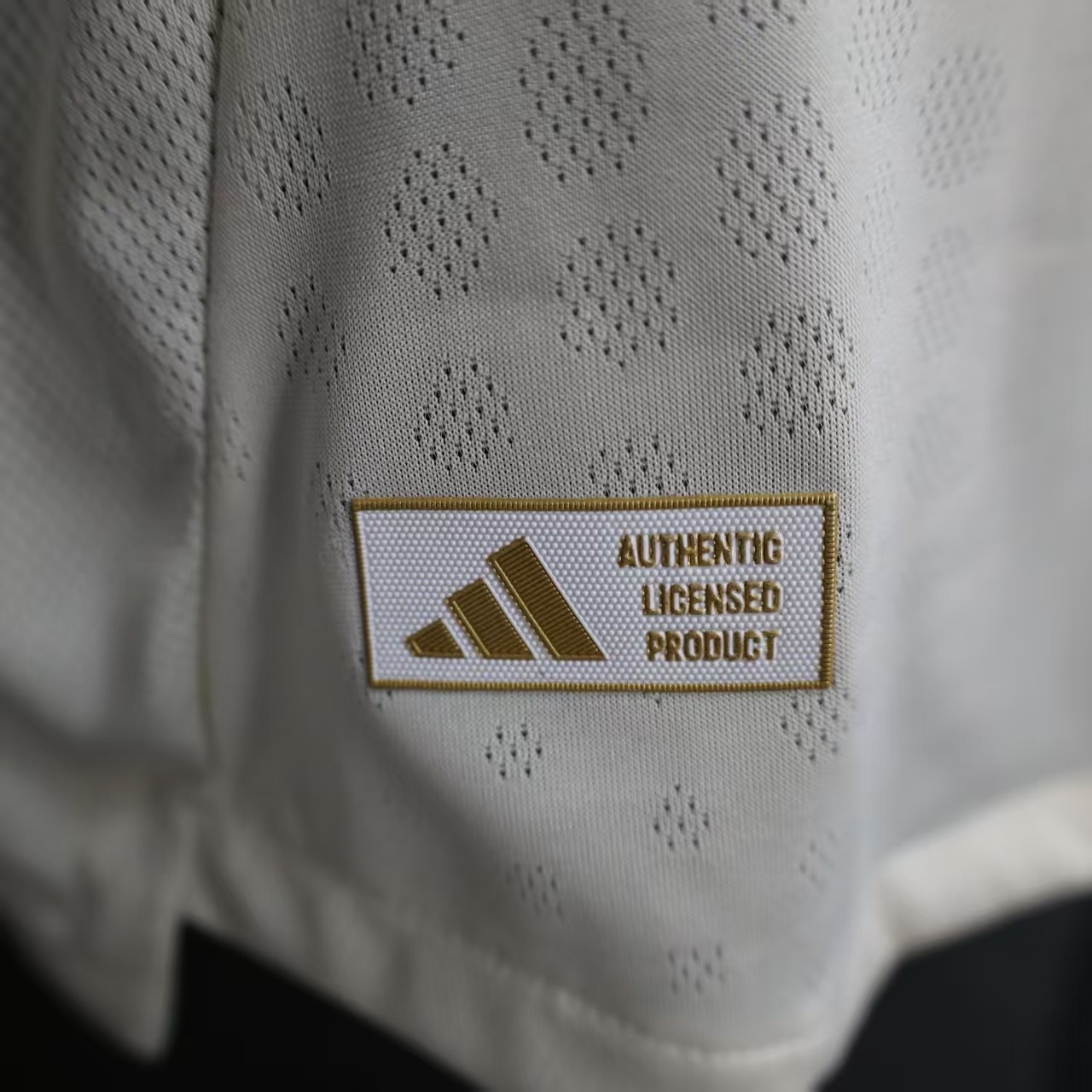 2025-2026 Liverpool Away Long-Sleeve Soccer Jersey (Player)