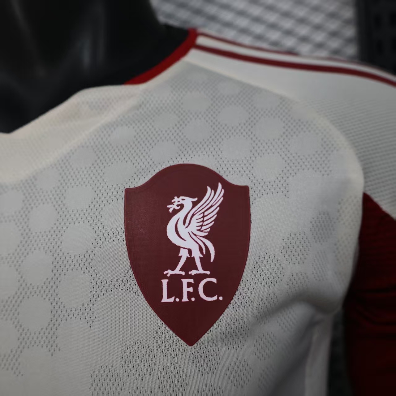 2025-2026 Liverpool Away Long-Sleeve Soccer Jersey (Player)