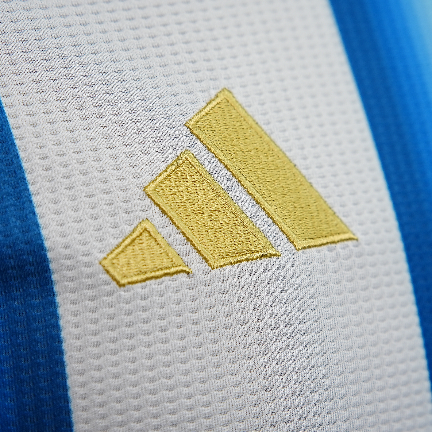 2025/2026 Argentina Home Quick-Dry Short Sleeve National Team Jersey( Player )